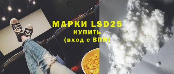 хмурый Арсеньев