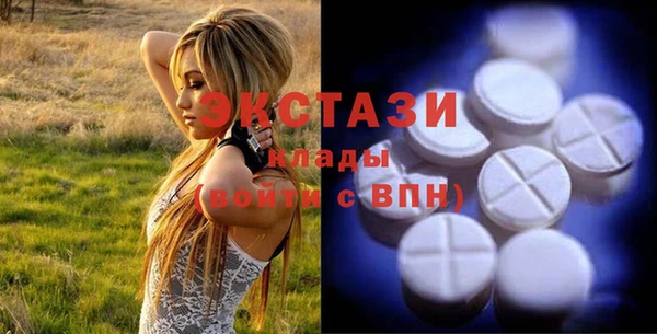 хмурый Арсеньев
