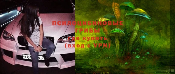 хмурый Арсеньев